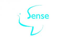 Sense Massage Therapy