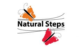 Natural Steps