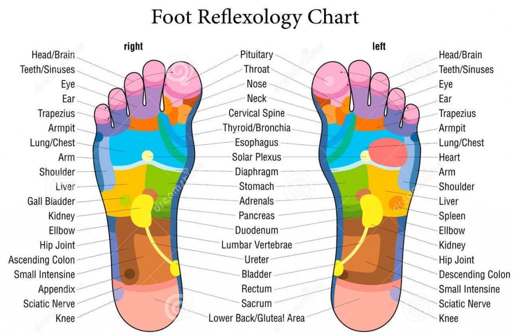 Reflexology