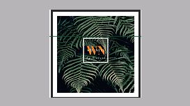 Wellness by Nature Wellness by Nature