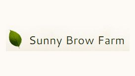 Sunny Brow Holistic Retreat